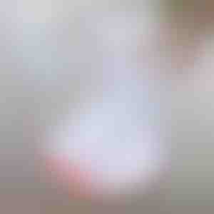 UV putekļu sūcējs audumu dziļai tīrīšanai | RAYCLEANER