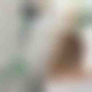 Regulējams matu žāvētāja rokturis | FENLUSK