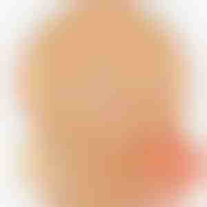 Vienreizlietojamie papīra oderējumi bez pieķeršanās gaisa fritēzei | BAKELINER