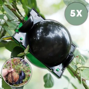 Vairošanas kaste veselīgām saknēm (5 gabali) | ROOTY