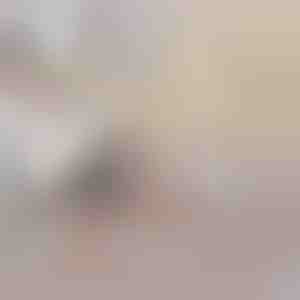 Piepūšamā dīvānu gulta | SOFLINKA