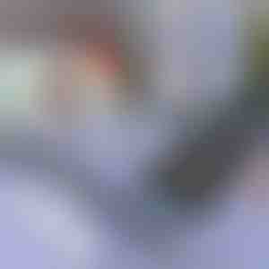 Saules aizsarglīdzeklis automašīnai un logam | SUNGUARD