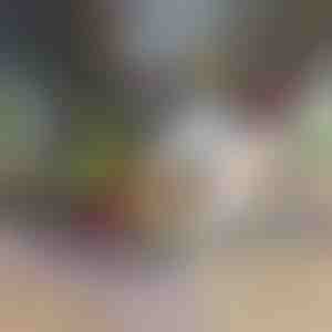 Dārzeņu smalcinātājs un griezējs 12 in 1 | CHOPMASTER