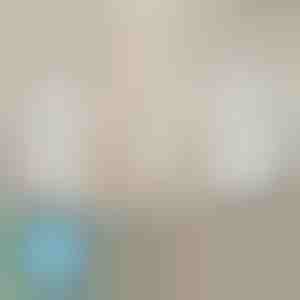 Palagu turētāji, kas nekad neslīd (4 gab.) | EVOHOLD