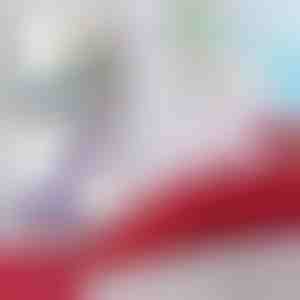 Nāru sega | MERMIDREAM