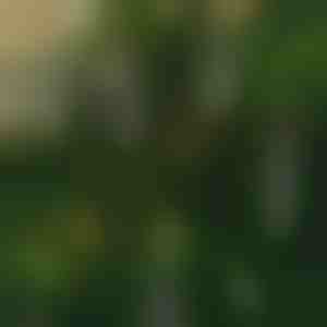 Bezliesmas mirgojošas sveces (6 gab.) | CANDLEA