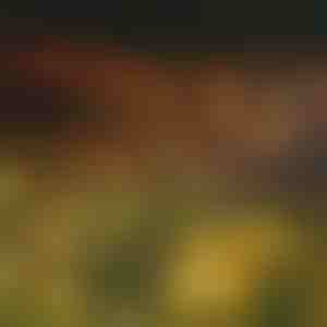 Saules gaismas virtene ar 6 LED spuldzēm | SOMPEX